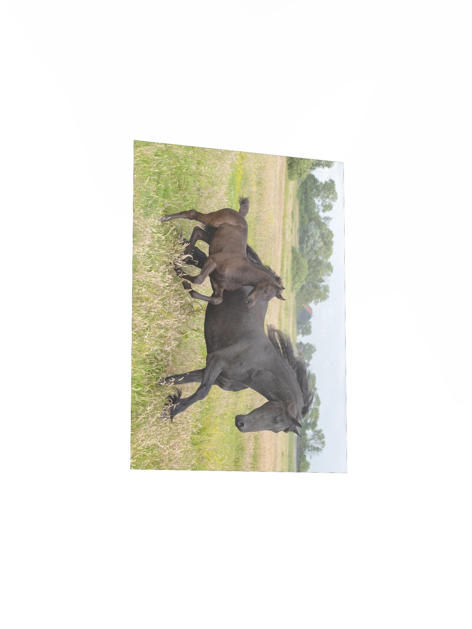 Saly & Elvis running product image (4)