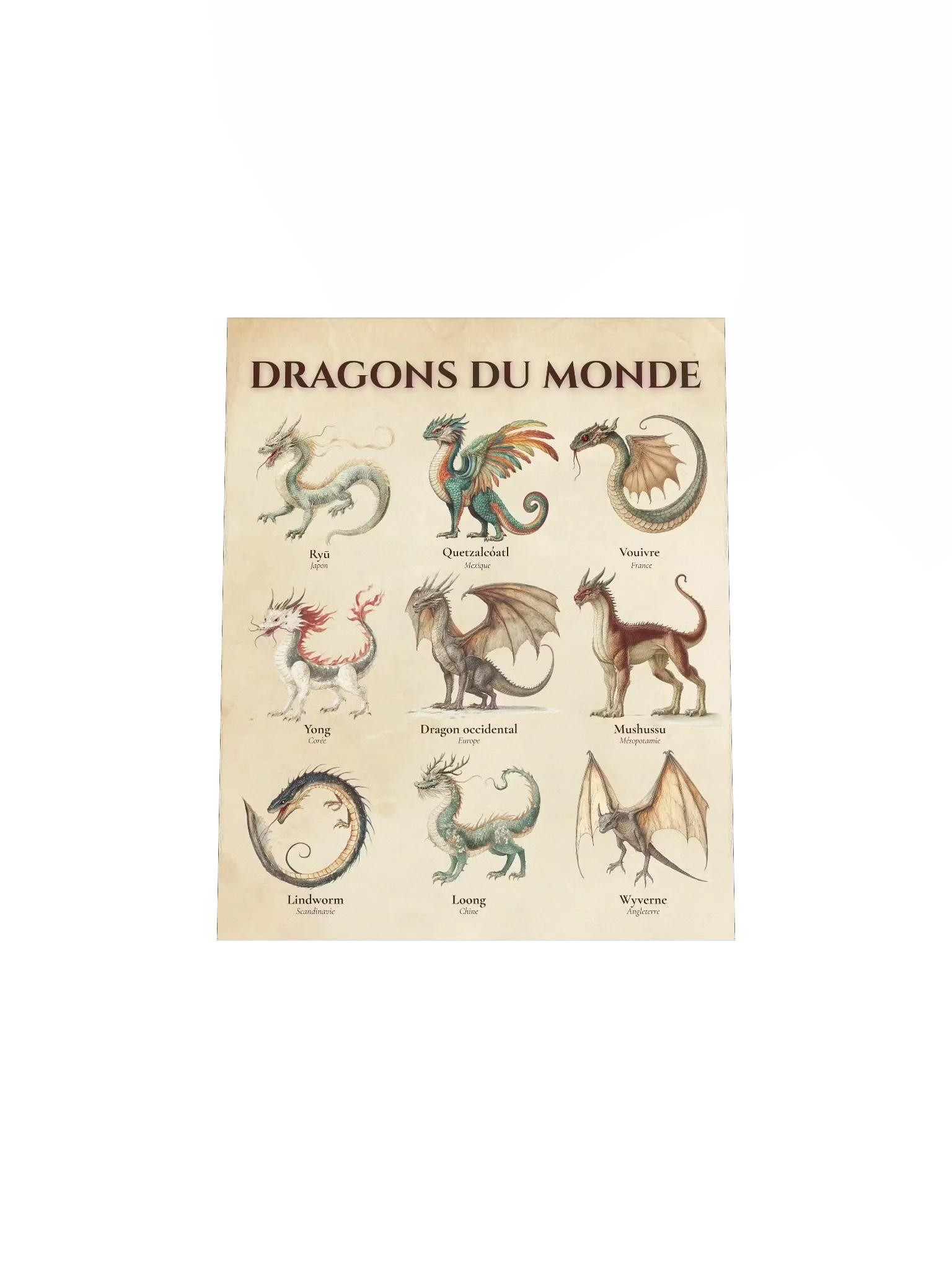 Poster Dragons du Monde - vue 4