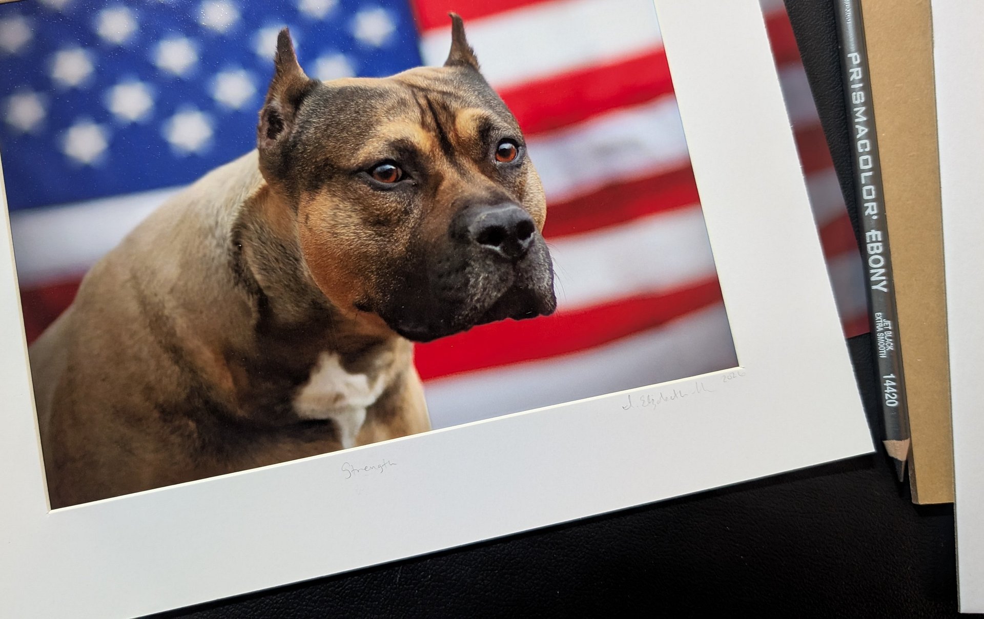 Strength Limited Edition Print – American Pit Bull Terrier USA Flag (Signed 5x7 matted 8x10) product image (2)