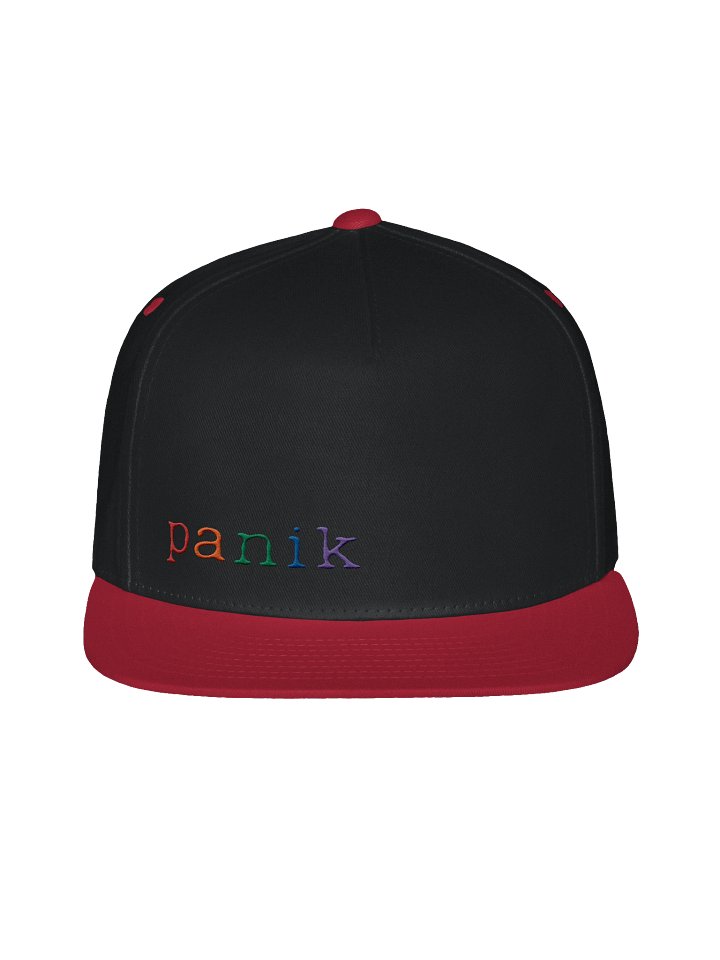 gay panik snapback product image (13)