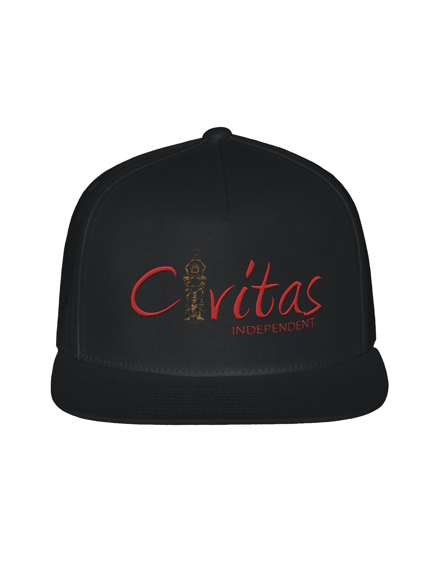 Logo Snapback product image (1)