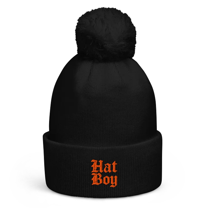 the hat boy beanie product image (1)