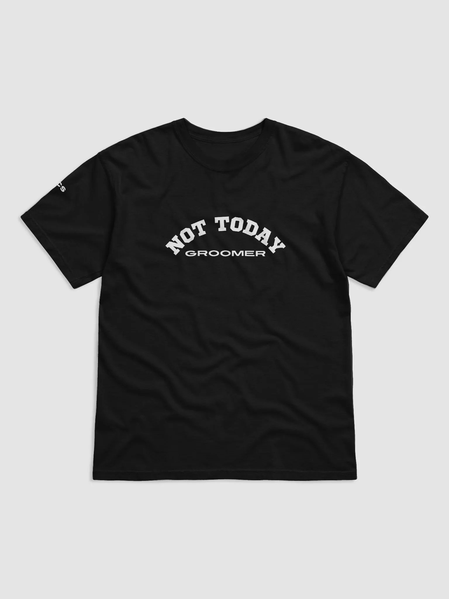 "Not Today Groomer" Tee product image (2)