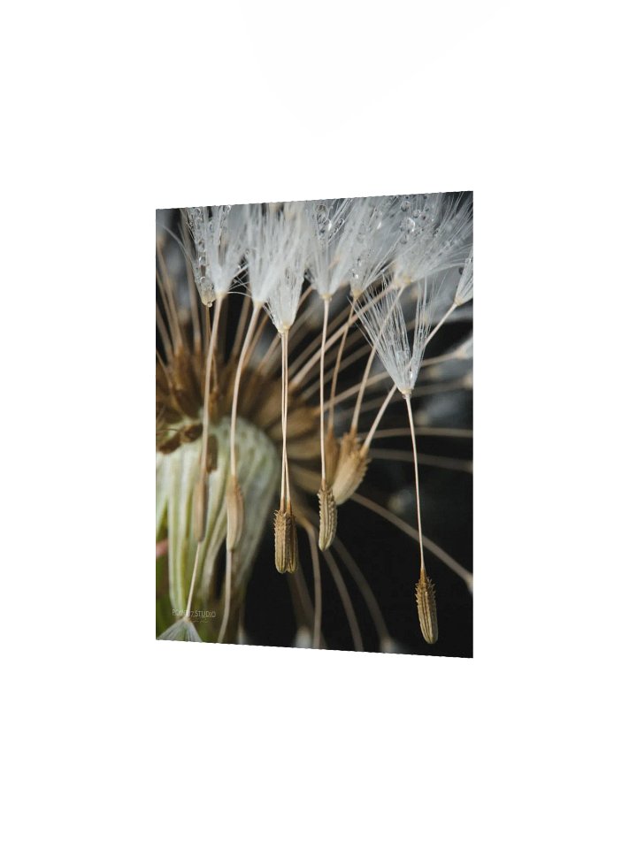 Rapture - Poster product image (4)