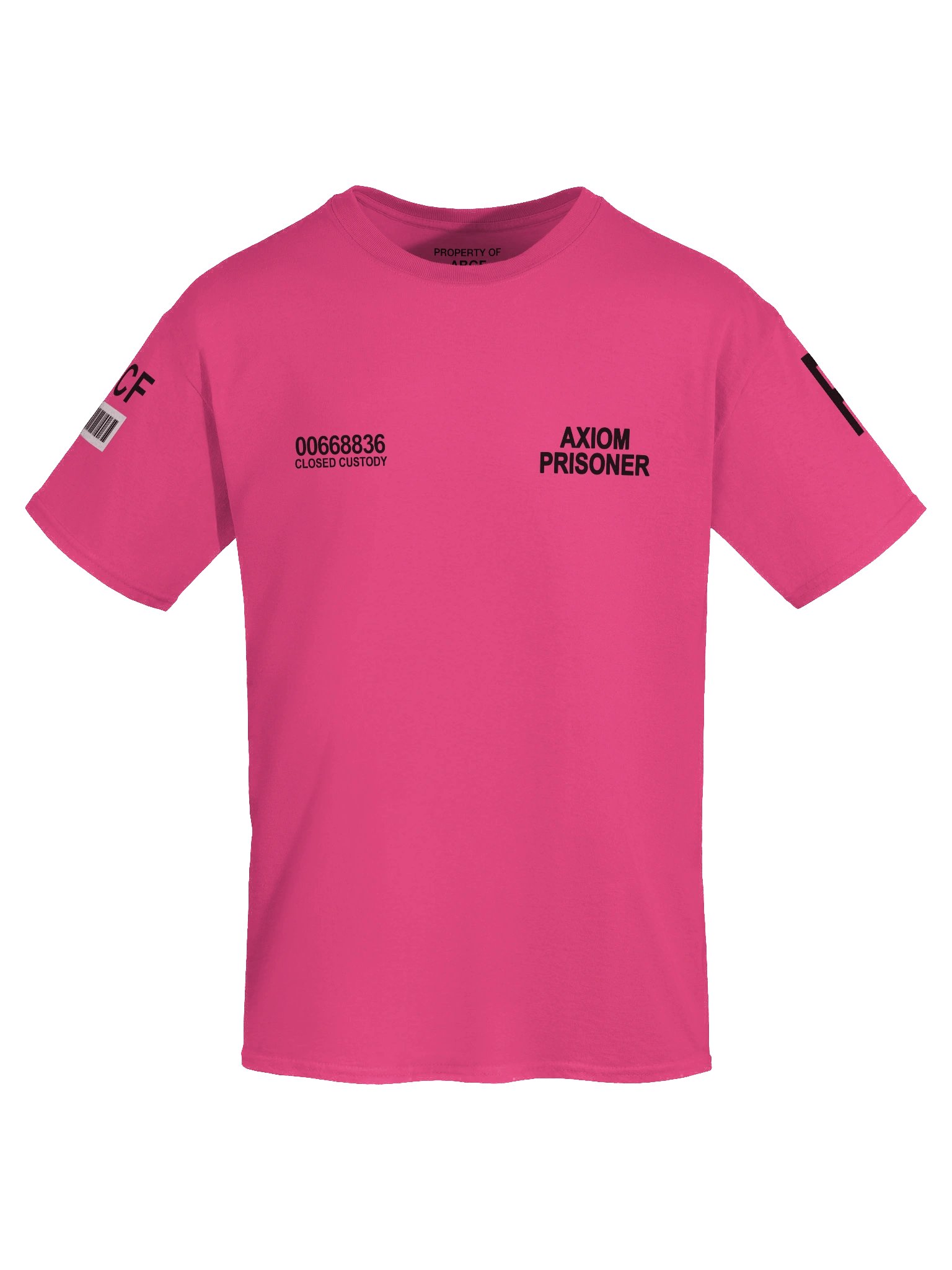 ABCF Standard Issued Maximum Security T-Shirt product image (7)