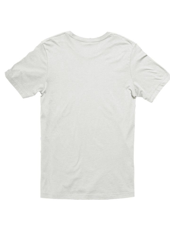Chaos Since Day One T-shirt (Orange and Blue) product image (2)