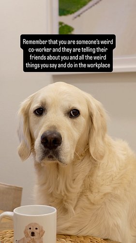 Stay humble everyone 😂 #coworkers #work #corporatelife #office #dogsarethebest