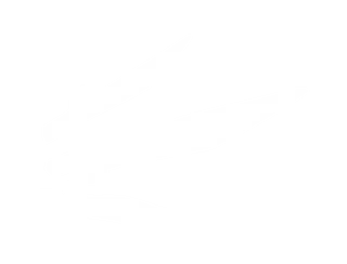 dillonfps