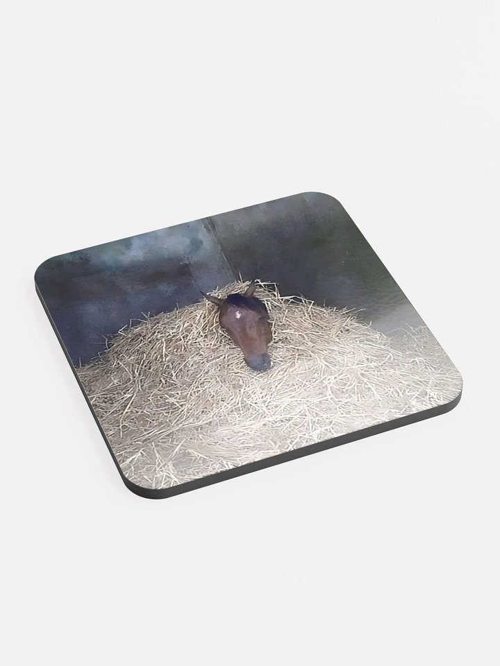 HERC Horse Coaster product image (2)