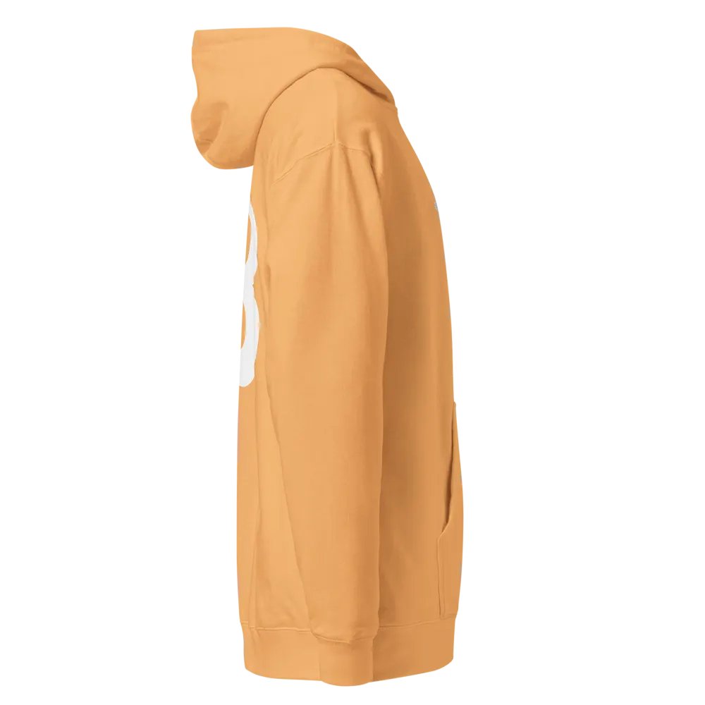 Embroidered ₿itcoin Orange-Peach Hoody product image (11)
