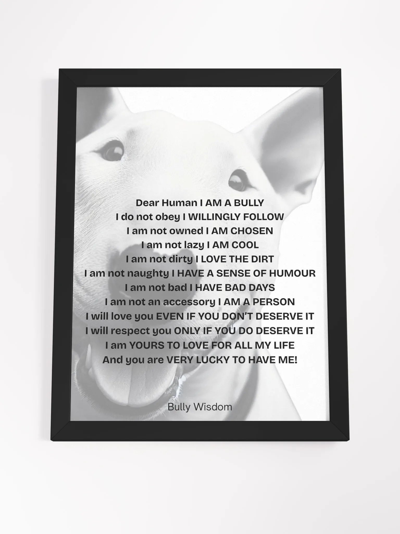 Bull Terrier "Dear Human, I am a Bully" product image (29)