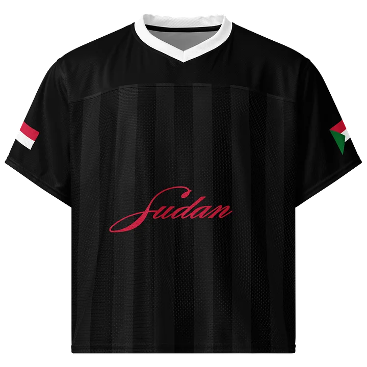 Sudan Boxy Sports Tee product image (1)