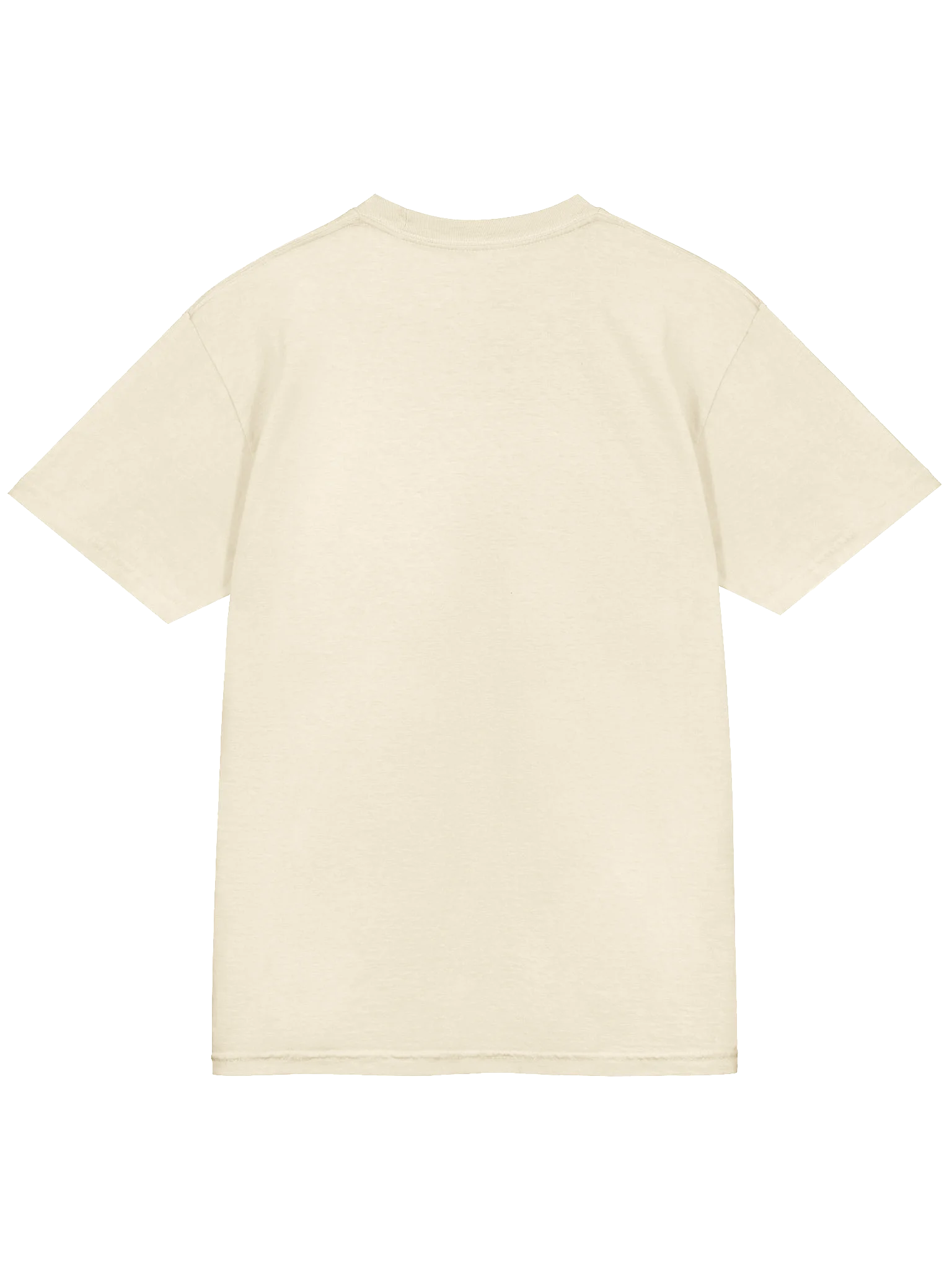 Ram Dass Book Tee (Comfort Colors) product image (4)