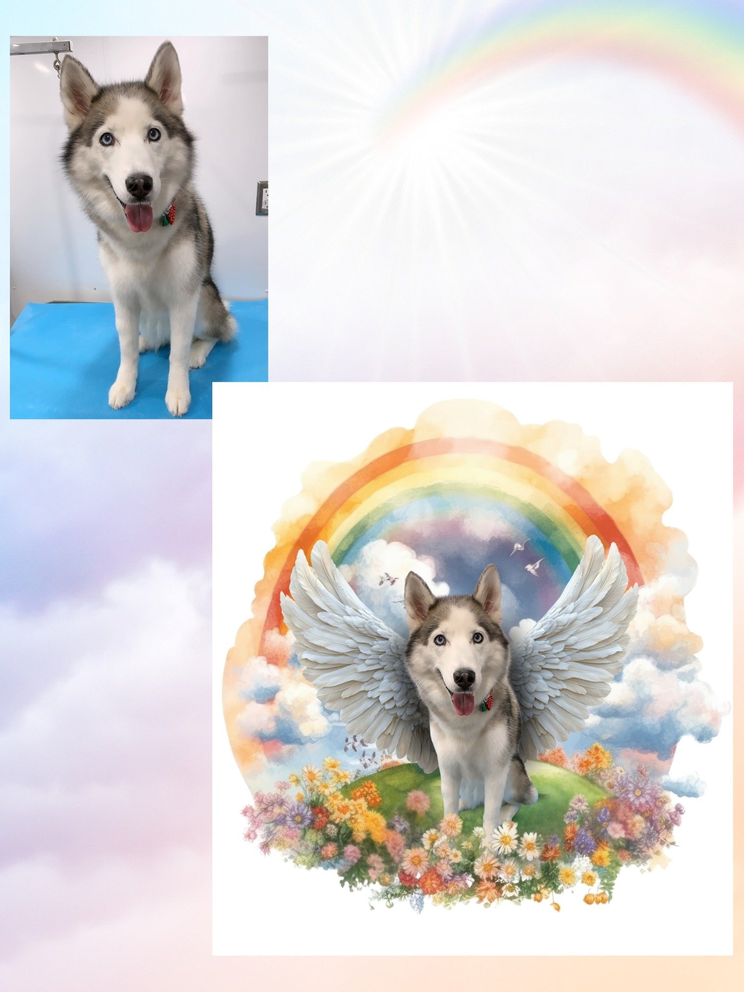 Rainbow Bridge Pet Memorial Art product image (6)