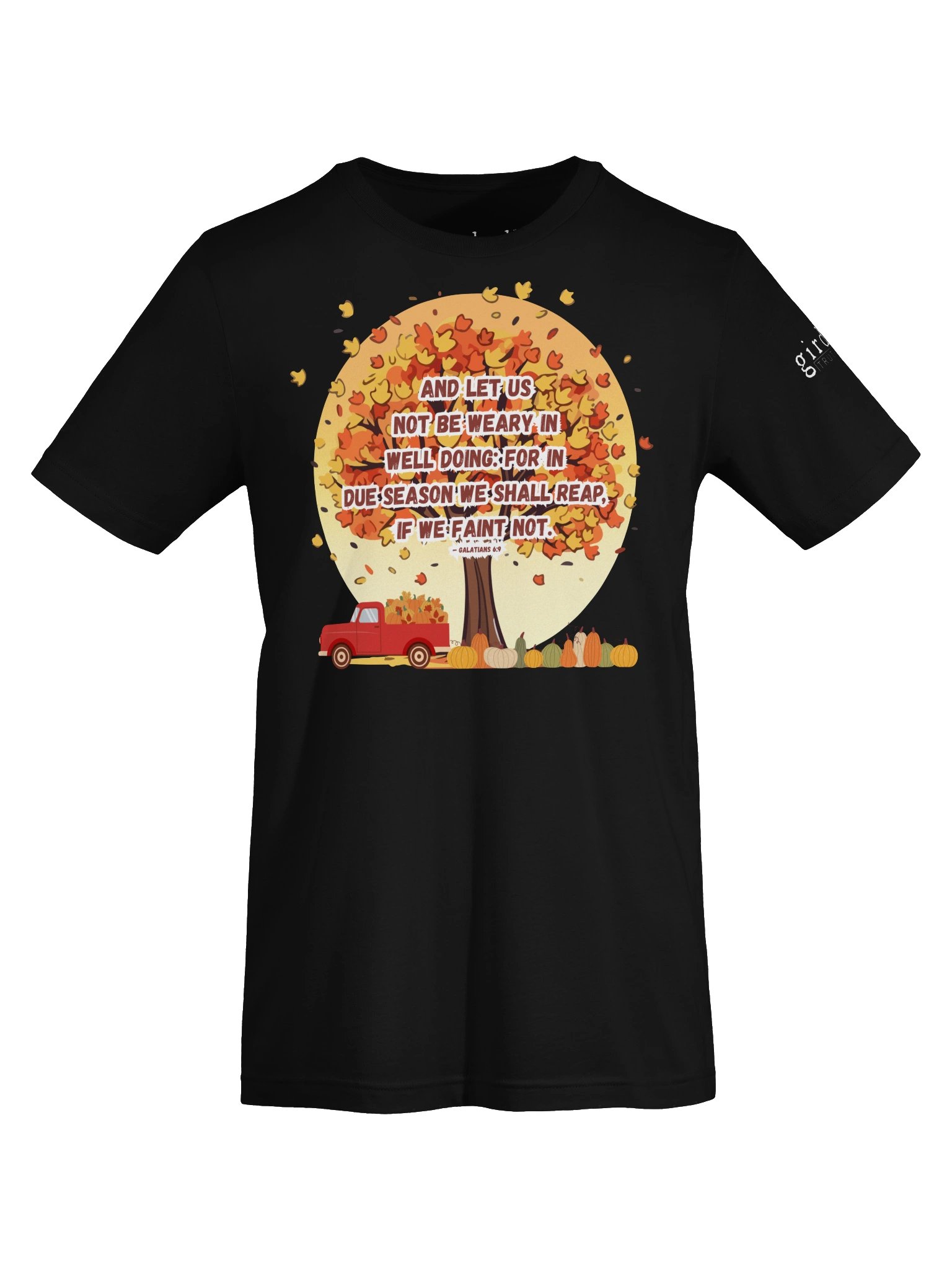 In Due Season Galatians 6:9 Tee product image (5)