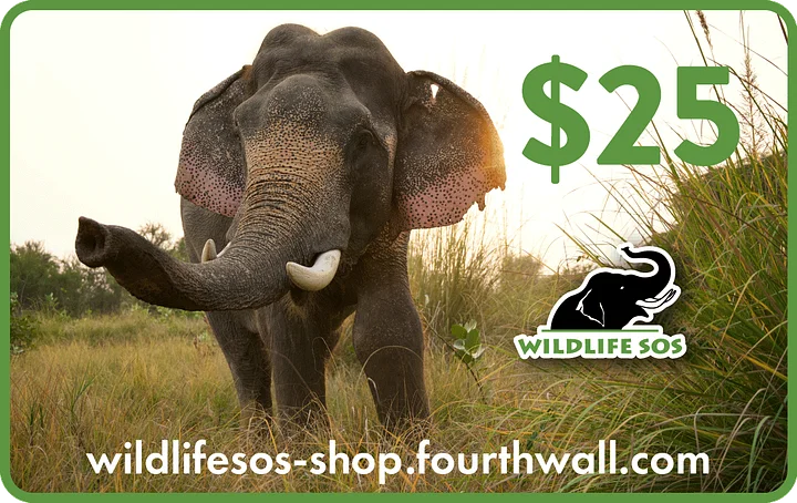 Wildlife SOS Store Gift Certificate product image (1)