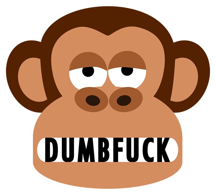 Rude Bored Monkey Thinks You Are Dumbfuck T-Shirt product image (2)