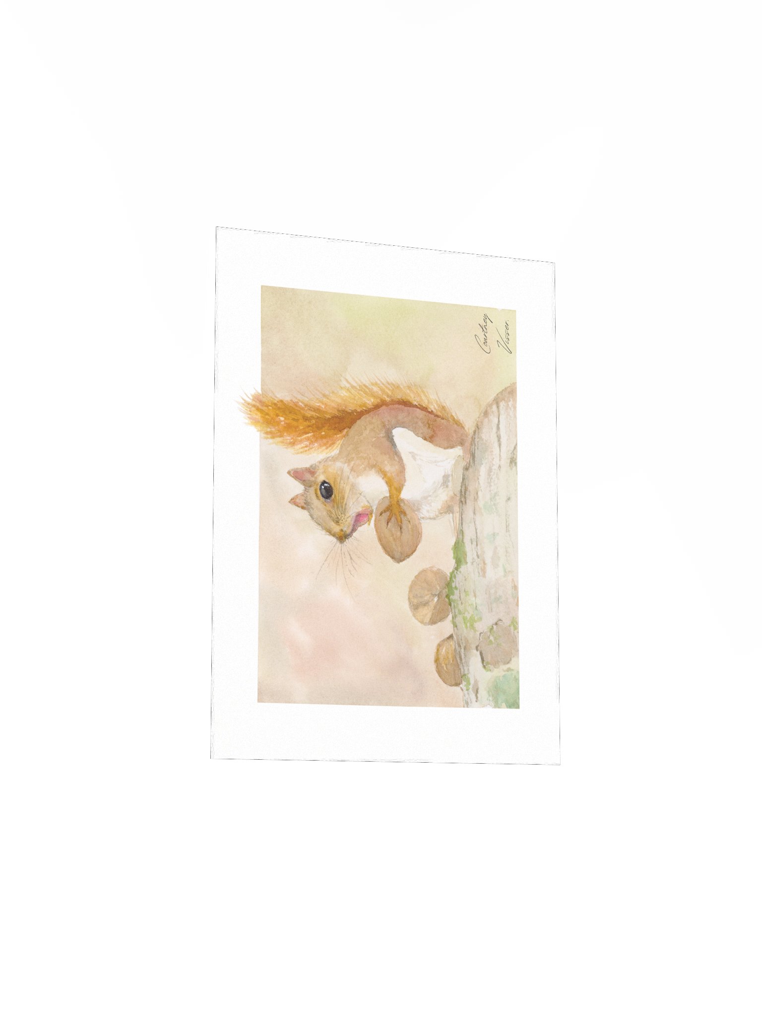 Squirrel print product image (4)