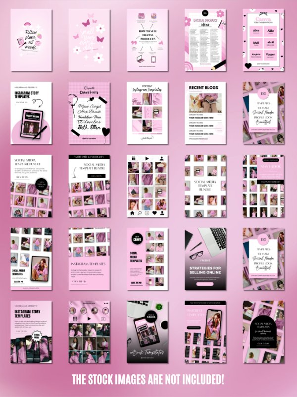 MRR/PLR Pinterest Templates for Digitals product image (3)