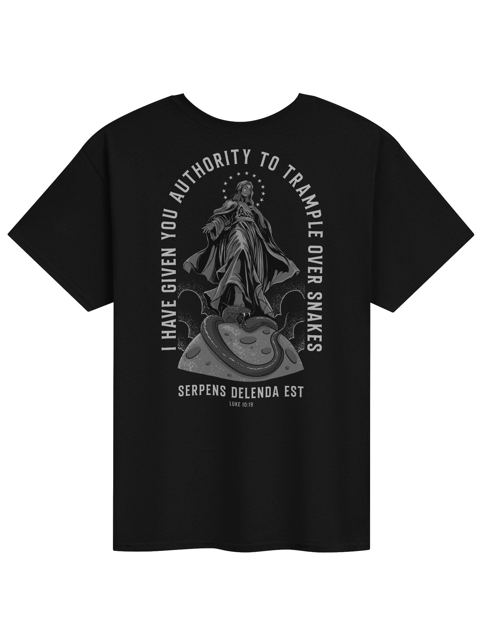 Sancta Dei Genitrix - Comfort T-shirt product image (1)
