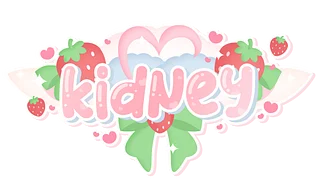 Kidneysama Merch