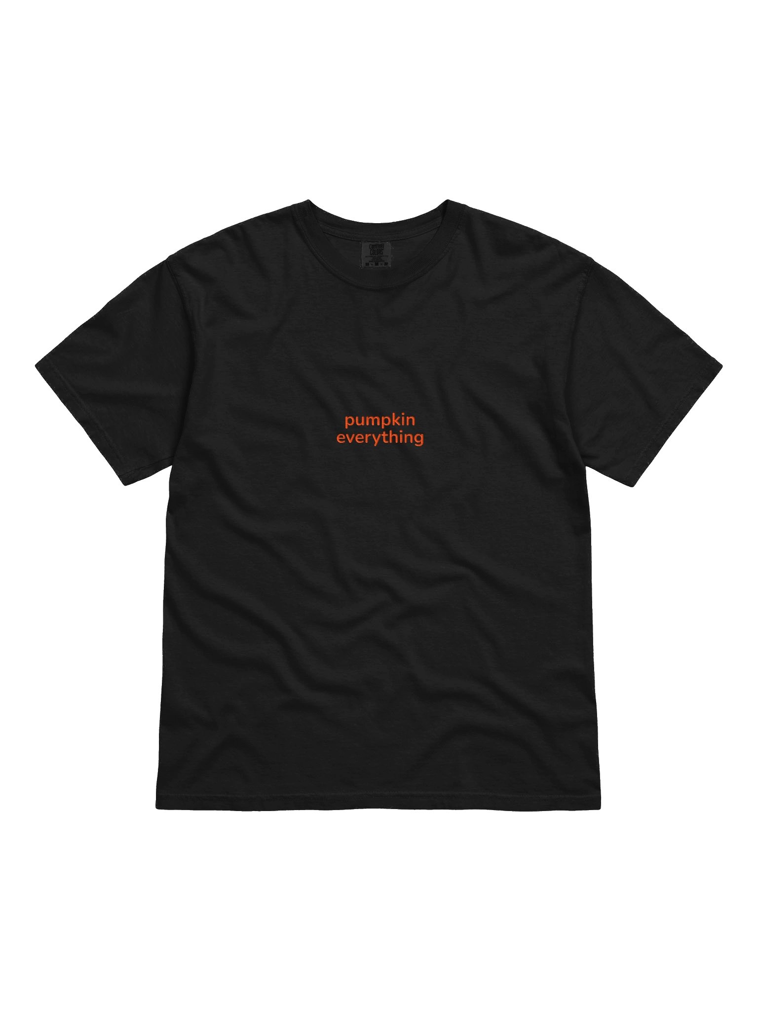 pumpkin everything embroidered tee product image (2)