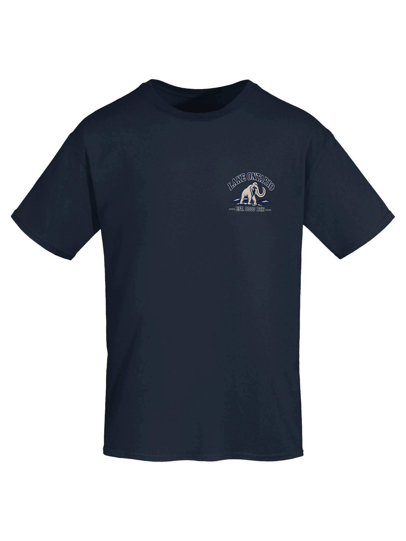 Lake Ontario Mammoth Heavyweight T-Shirt | Navy product image (5)