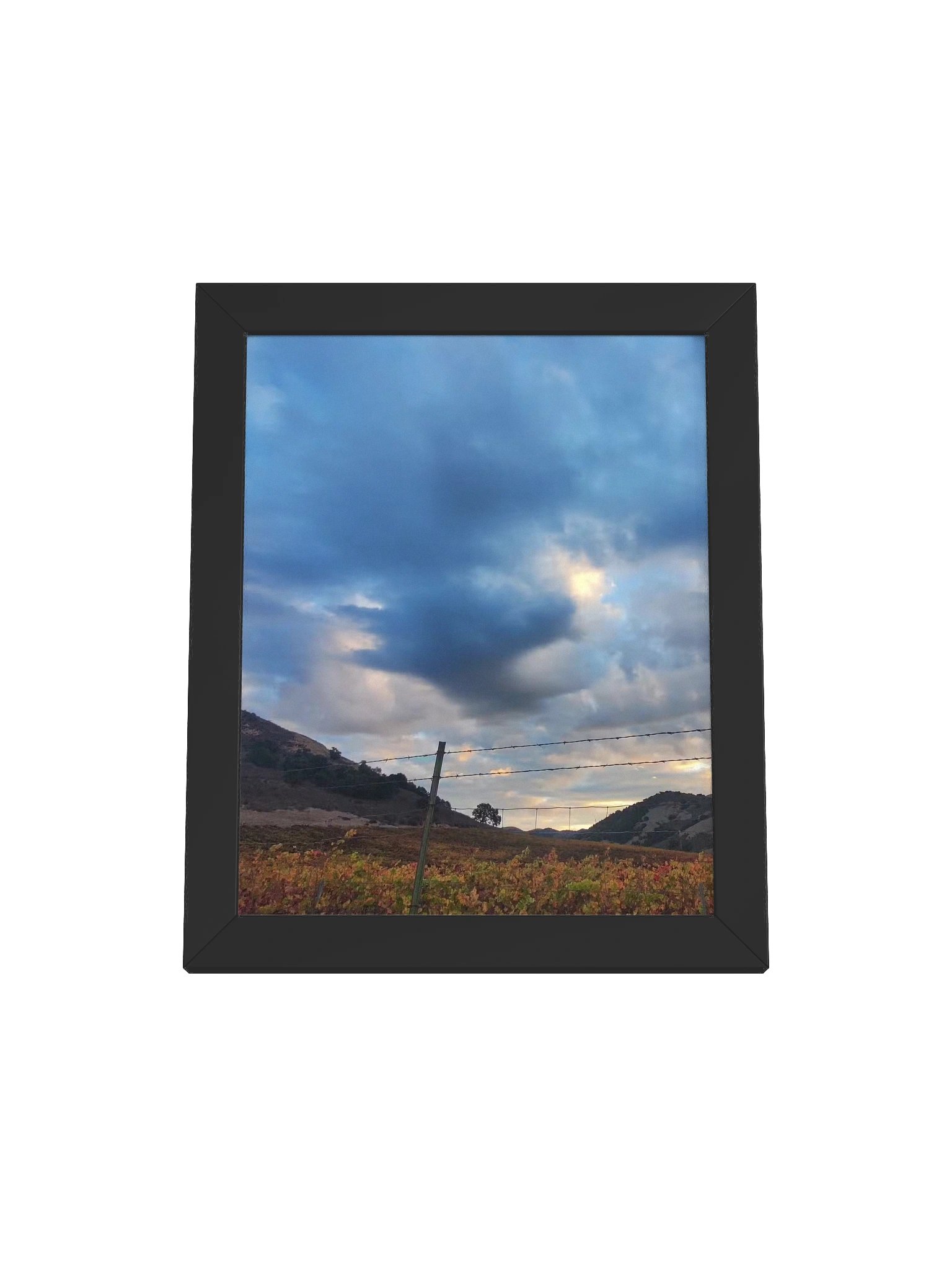Autumn Vineyard Serenity Framed Poster product image (1)