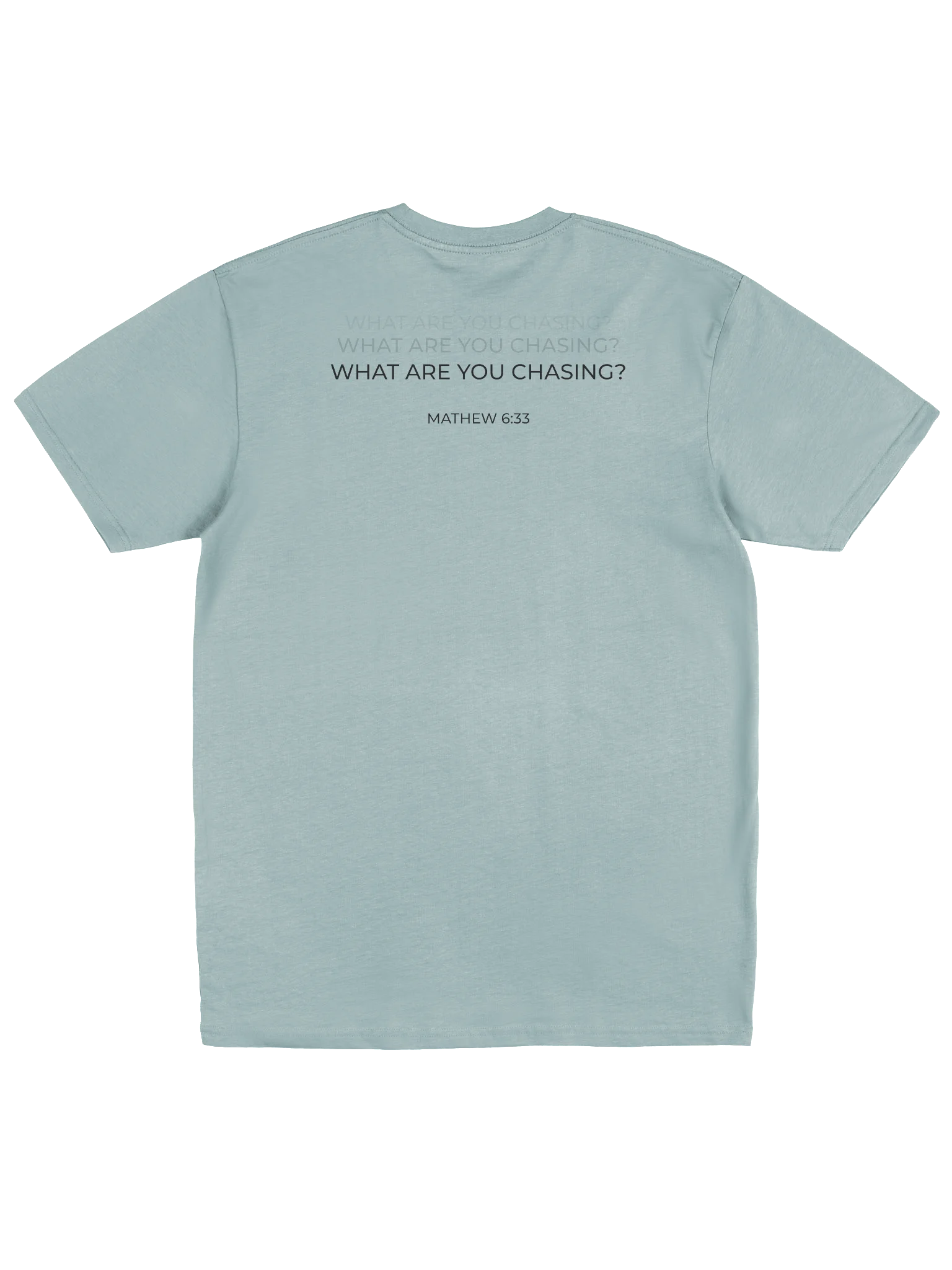 Men's What Are You Chasing? Heavyweight Statement Tee product image (2)