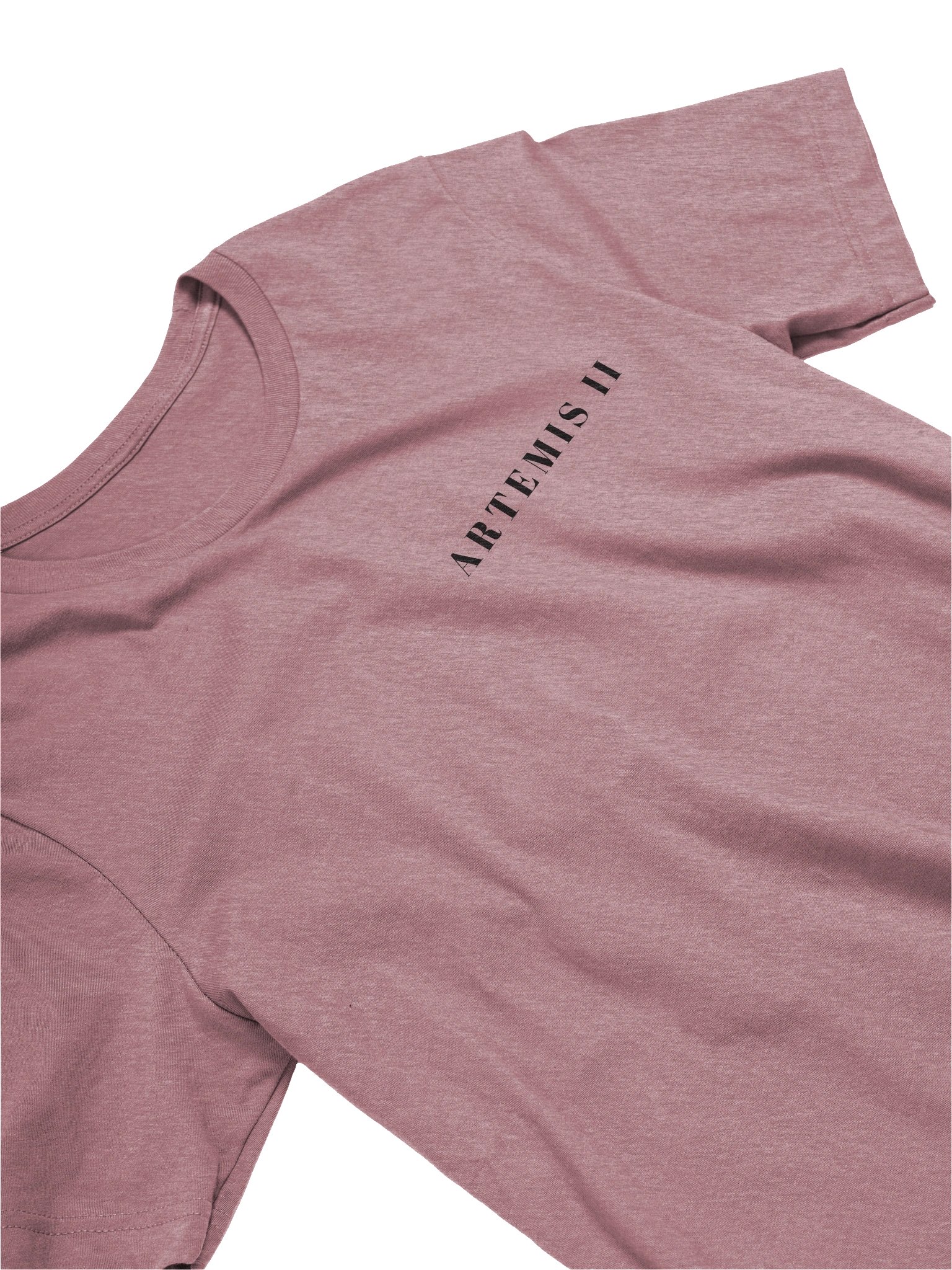 To the Moon and Back product image (20)