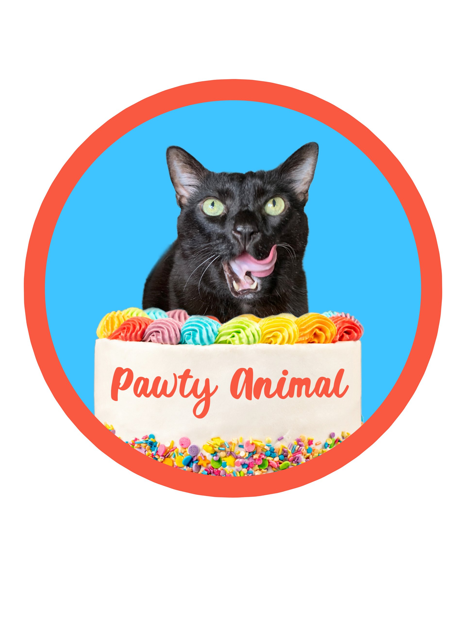 Pawty Animal circle sticker product image (1)