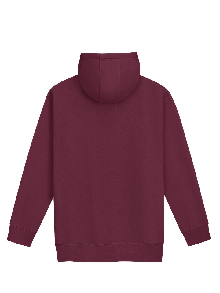 Seize The Day Premium Hoodie product image (14)