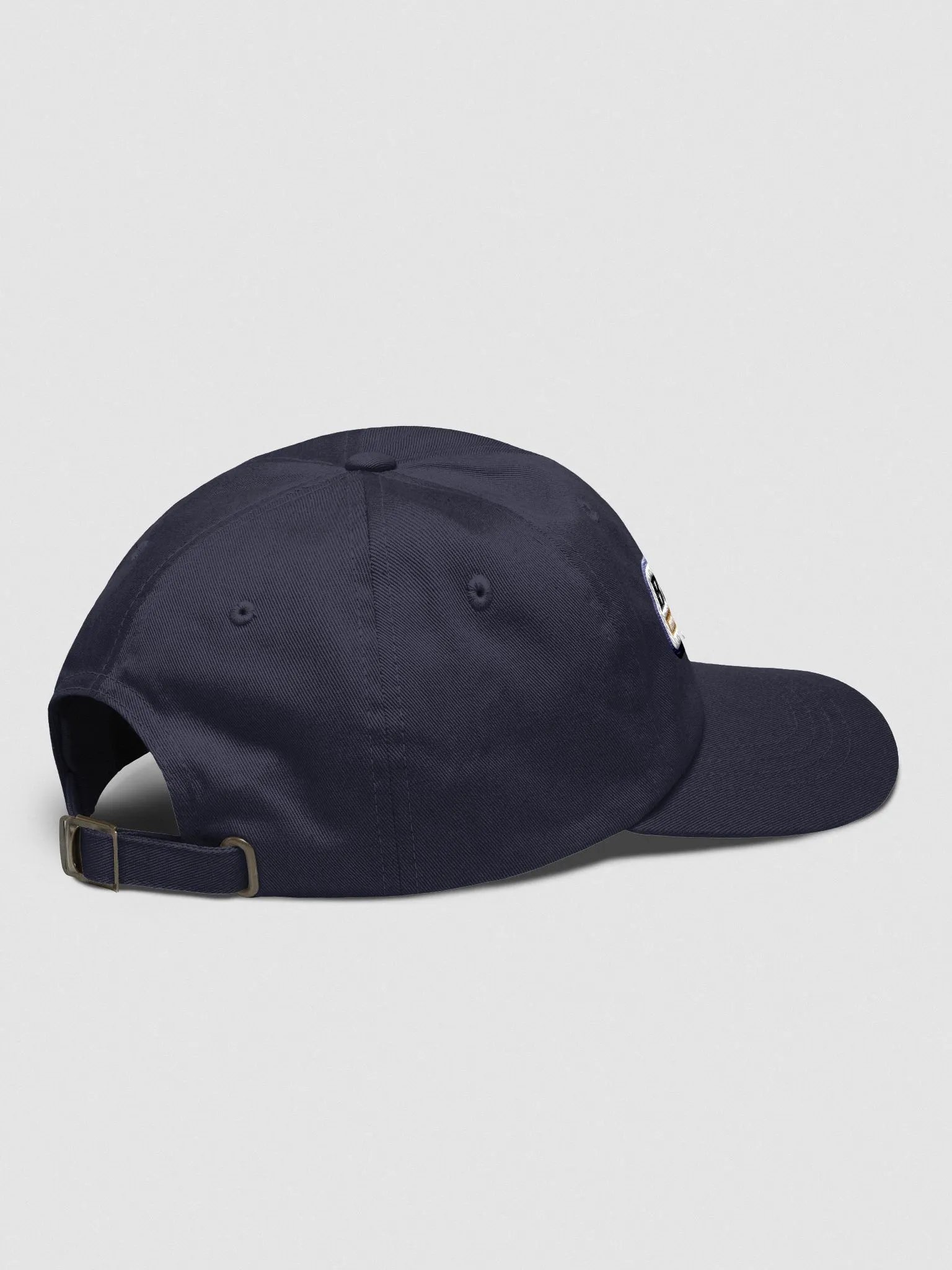 Hat: Biblical Not Radical (more colors available) product image (3)