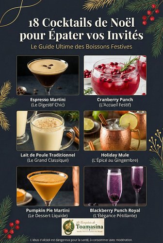 Pour des fêtes de fin d'année réussies, voici une sélection de cocktails festifs : Espresso Martini, Cranberry Punch, Holiday...
