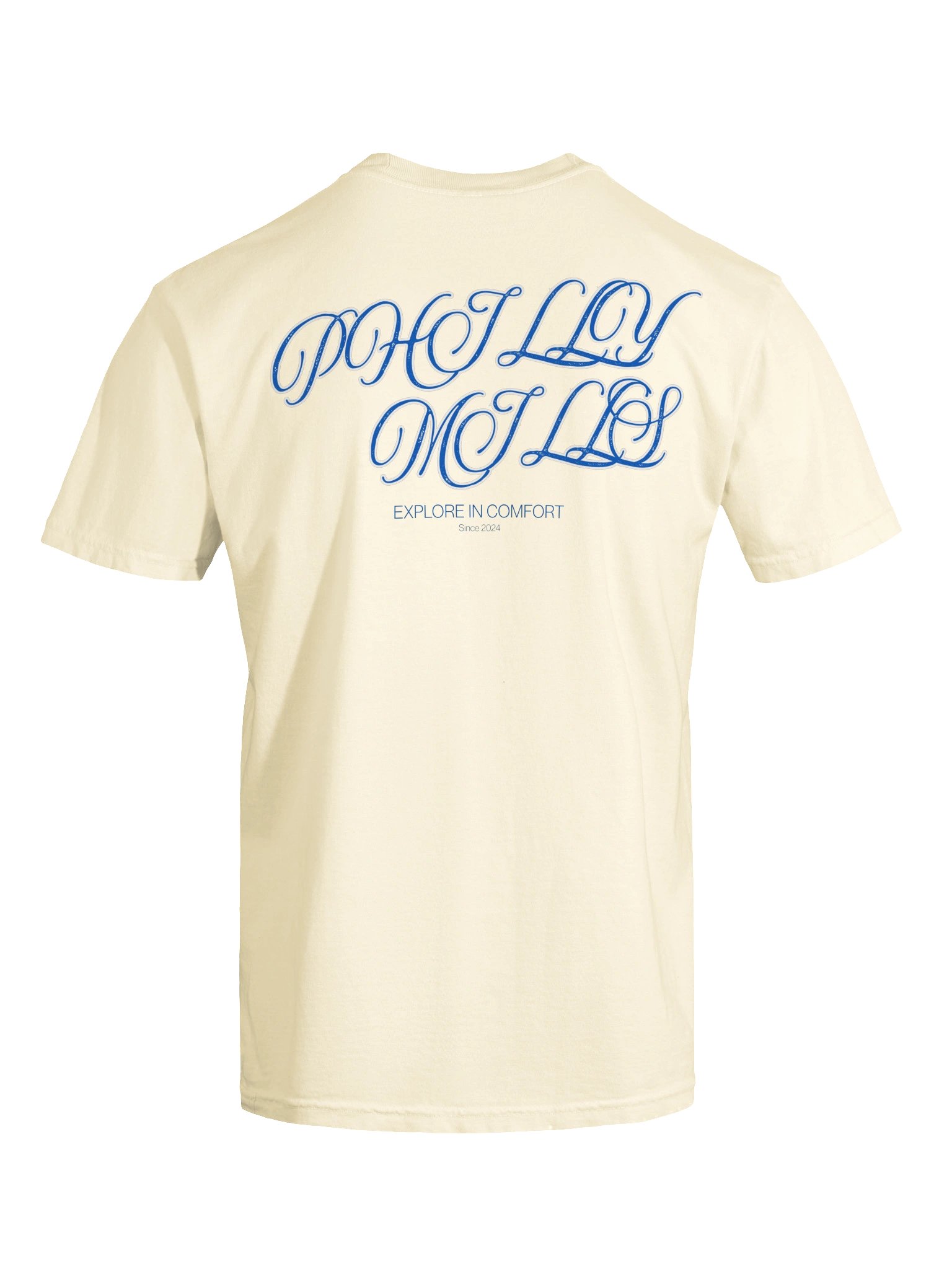 Philly Mills Script Graphic Heavyweight Tee product image (101)