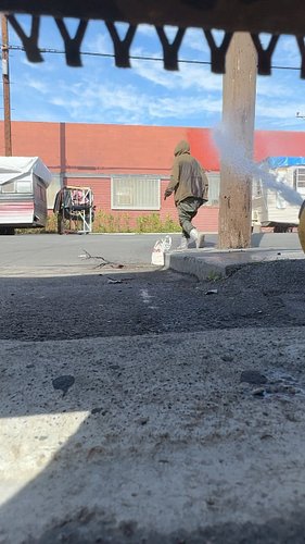 Luckily, the only thing I spray is water #losangeles #2024 
And they hate water 💧 full three hour clip on my #linkedin