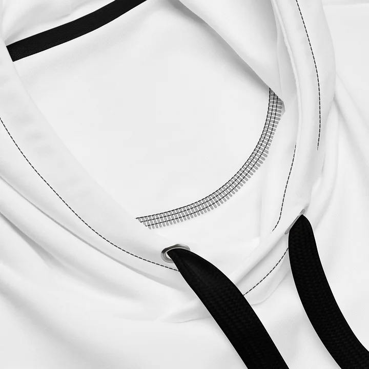 Big Disappointment Hoodie product image (2)