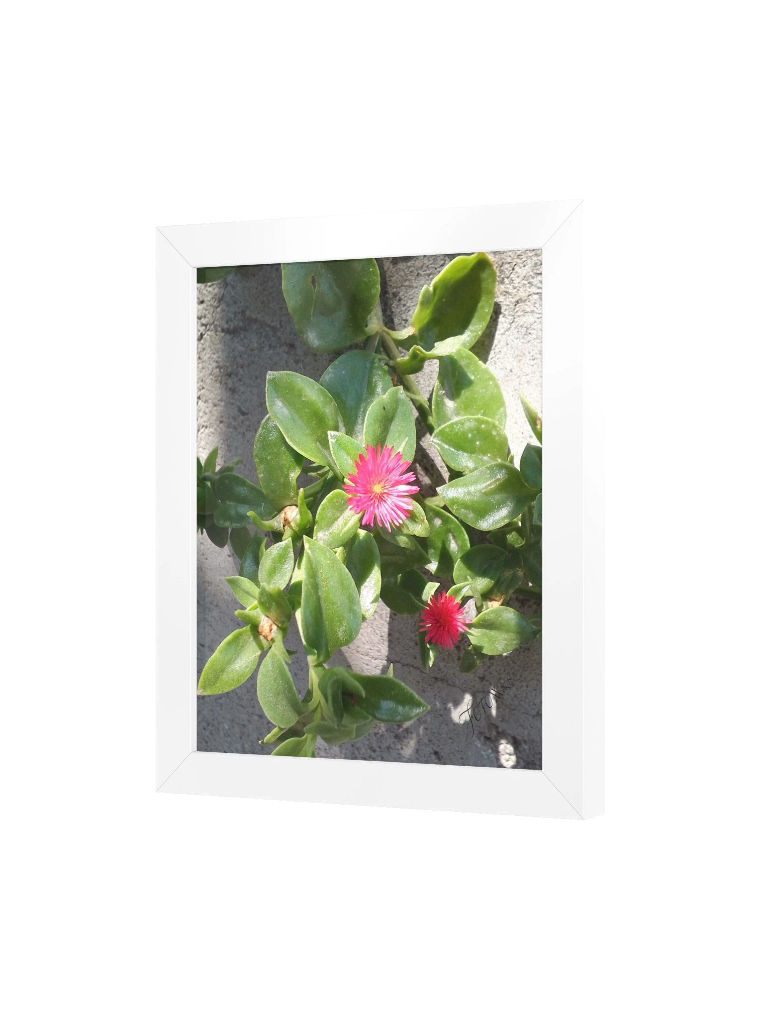 Pinky - Matte Poster product image (4)