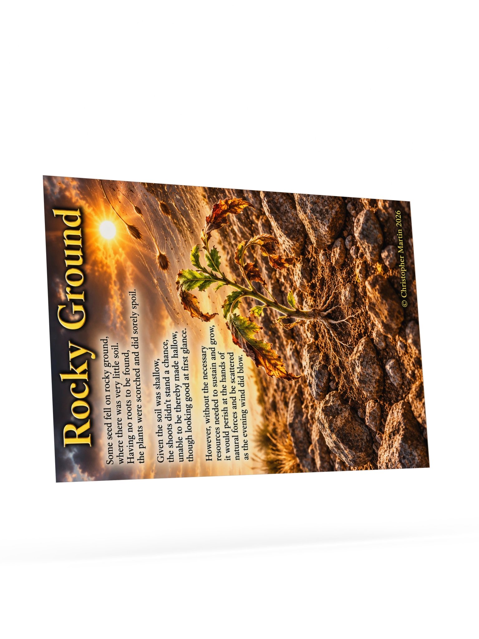 Rocky ground product image (9)