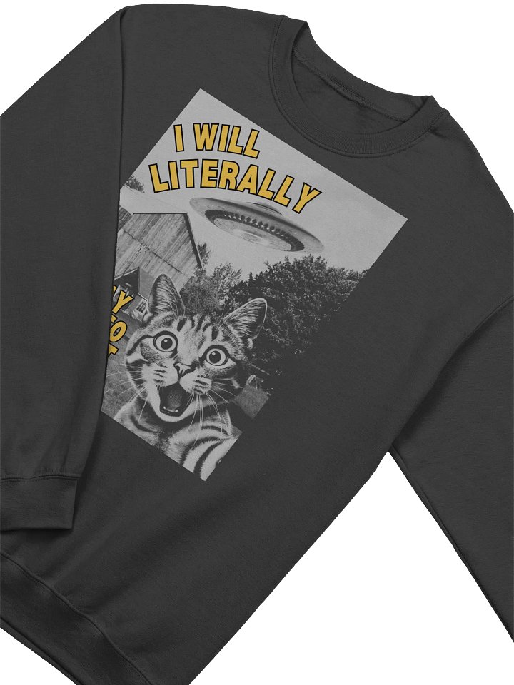 I Will Literally Pay You To Abduct Me Sweatshirt product image (2)