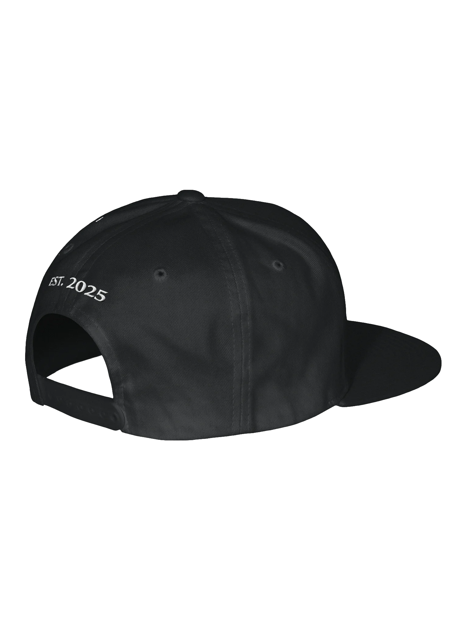 The ±2 Society Cap product image (3)
