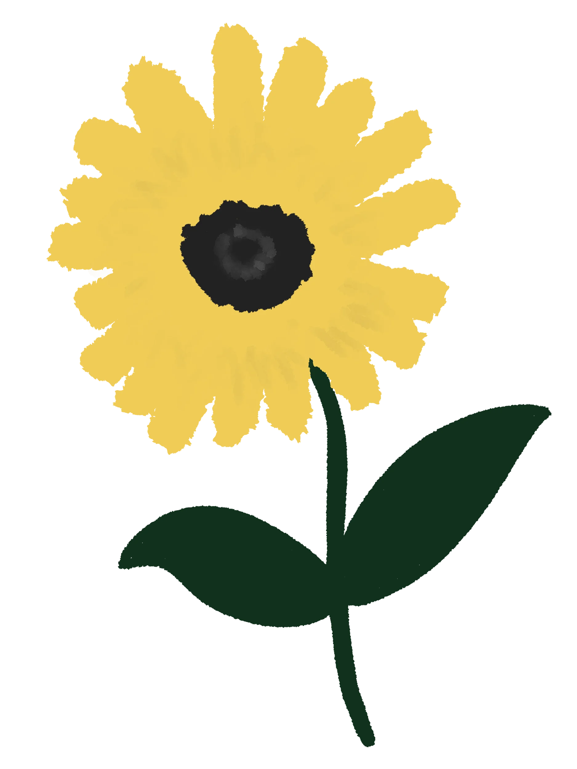 20 Hand-Drawn Flower & Botanical PNG Clipart Bundle product image (11)