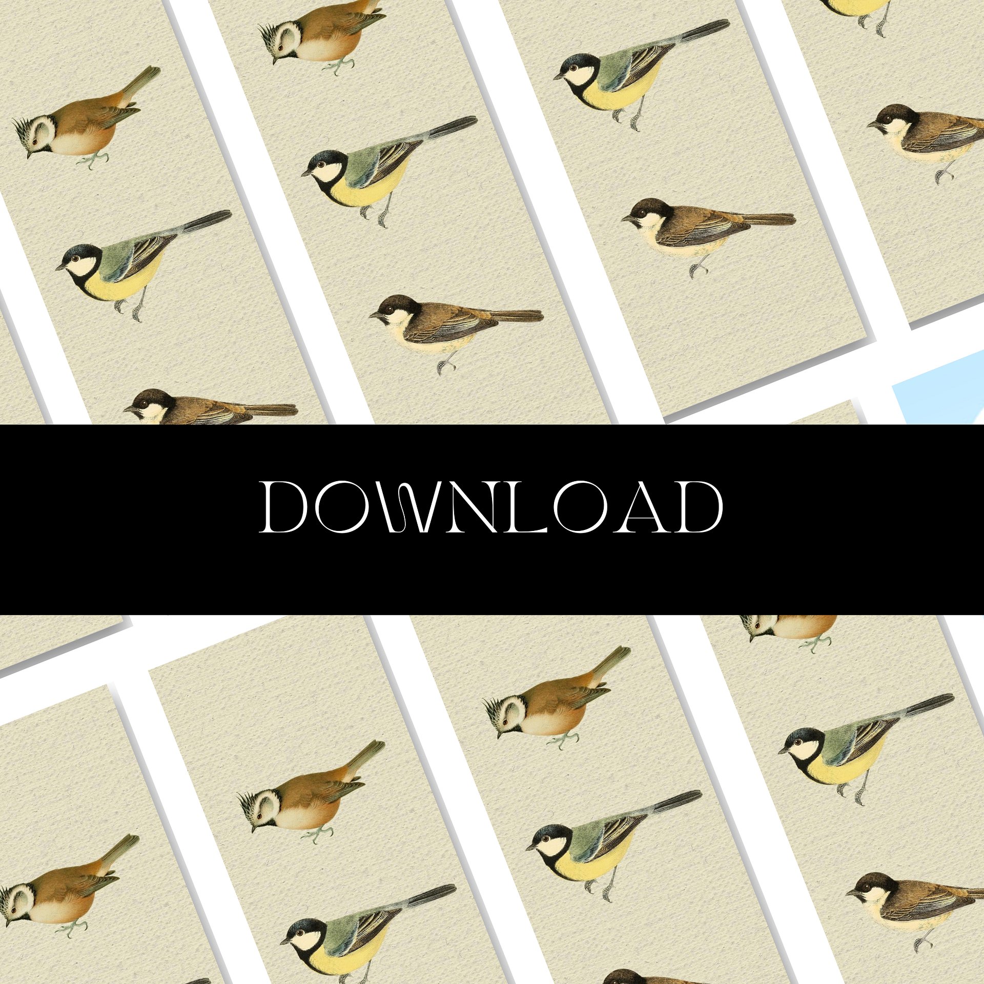 Tit Bird Bookmark product image (9)