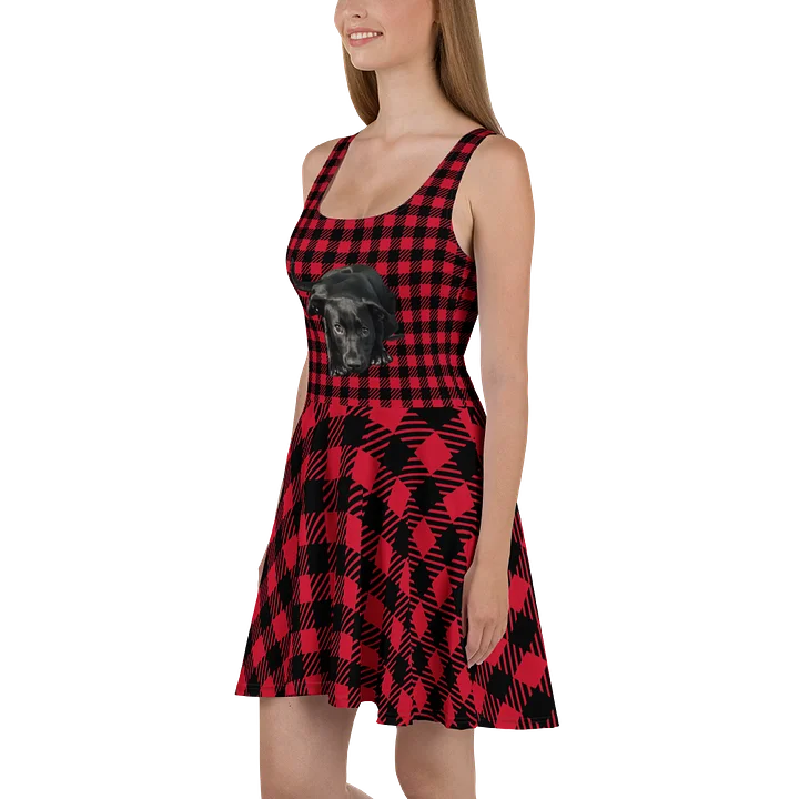 TheShadowDress Red product image (1)