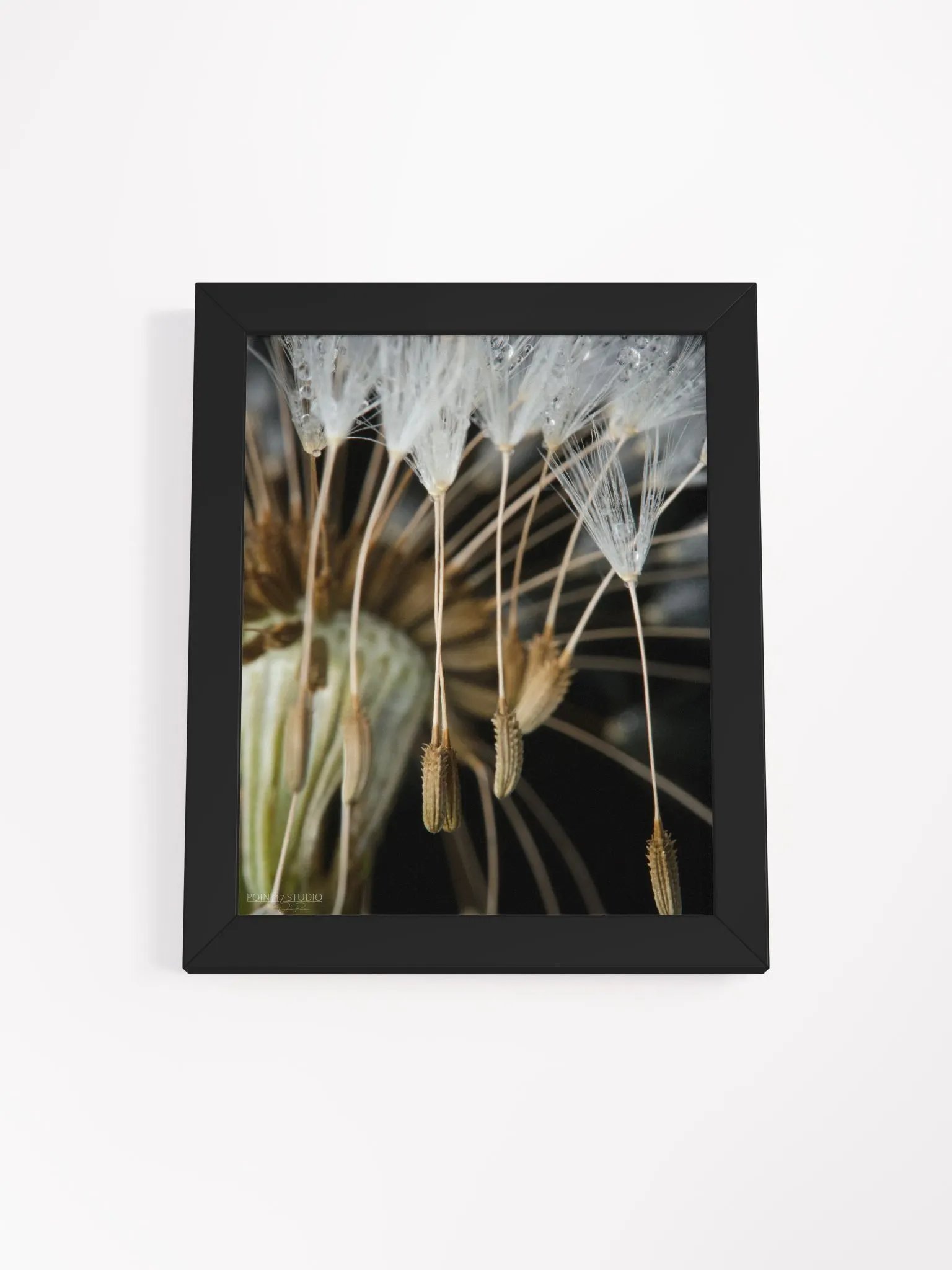 Rapture - Framed Poster product image (4)