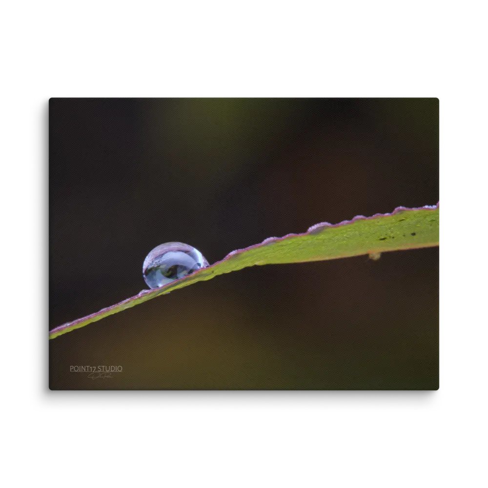 Crystal Ball #2 - Print On Canvas product image (1)