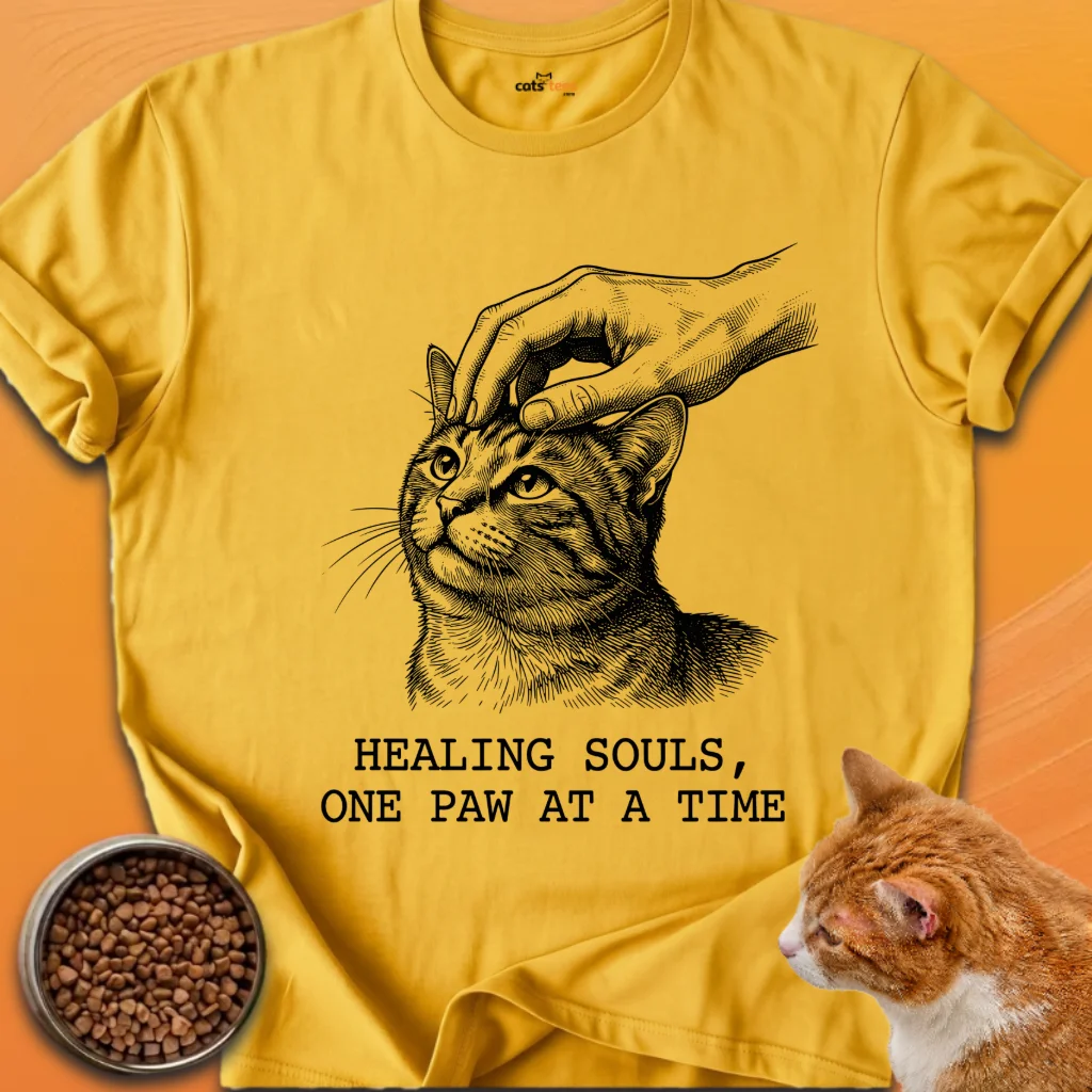 Healing Souls product image (18)