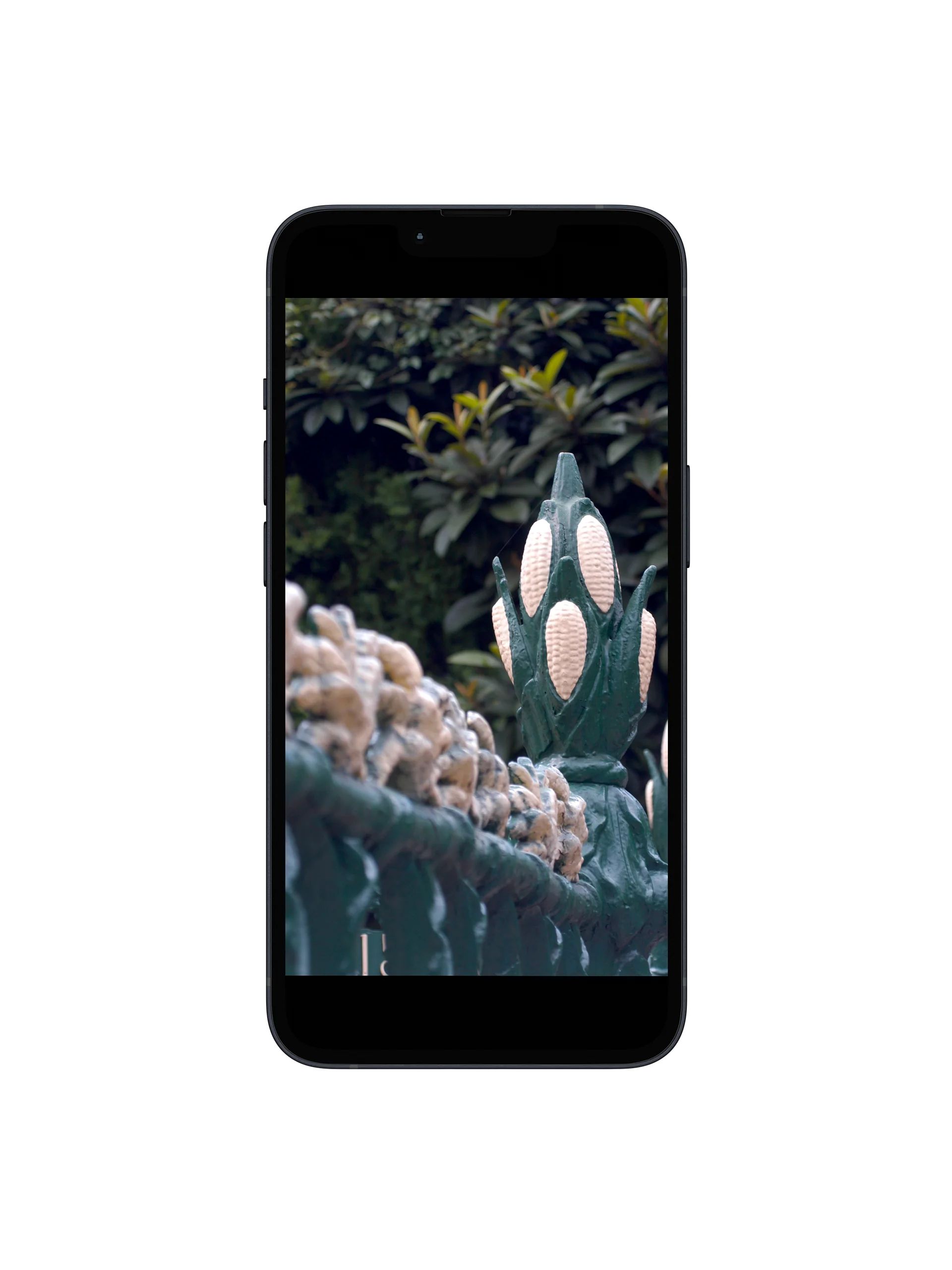 The Cornstalk Fence — New Orleans Phone Wallpaper | The Indigo Hours | Casa de Karma Press product image (1)