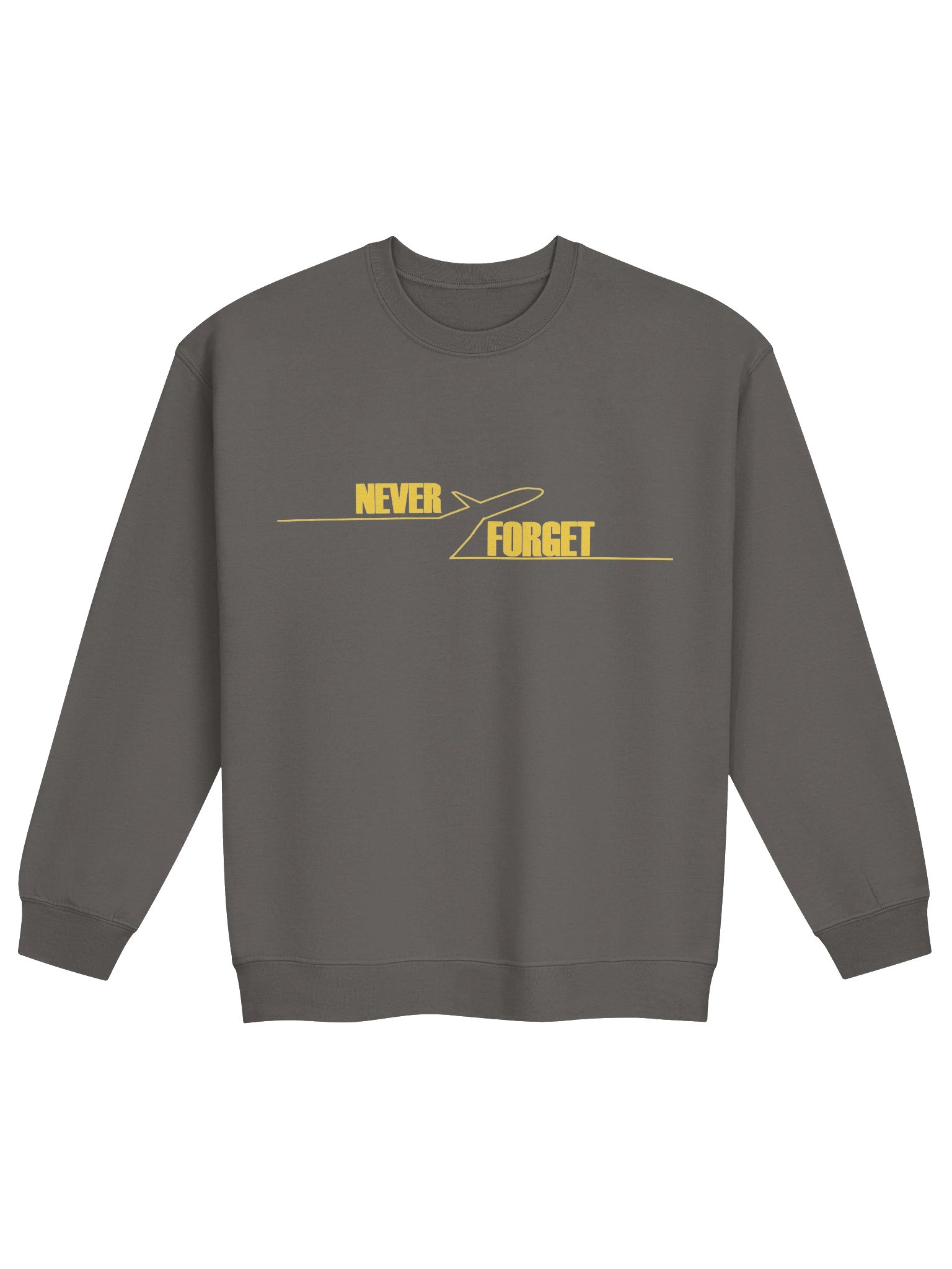 NEVER FORGET SPIRIT AIRLINES 🙏🏾🕊️✨ — SWEATSHIRT (DARK + FULL) product image (9)