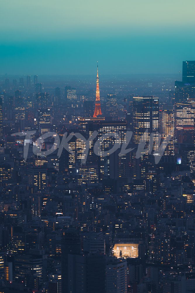 Tokyo Light & Shadow: Wallpaper Pack product image (4)